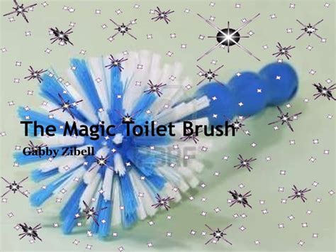 Magic toilet brusj